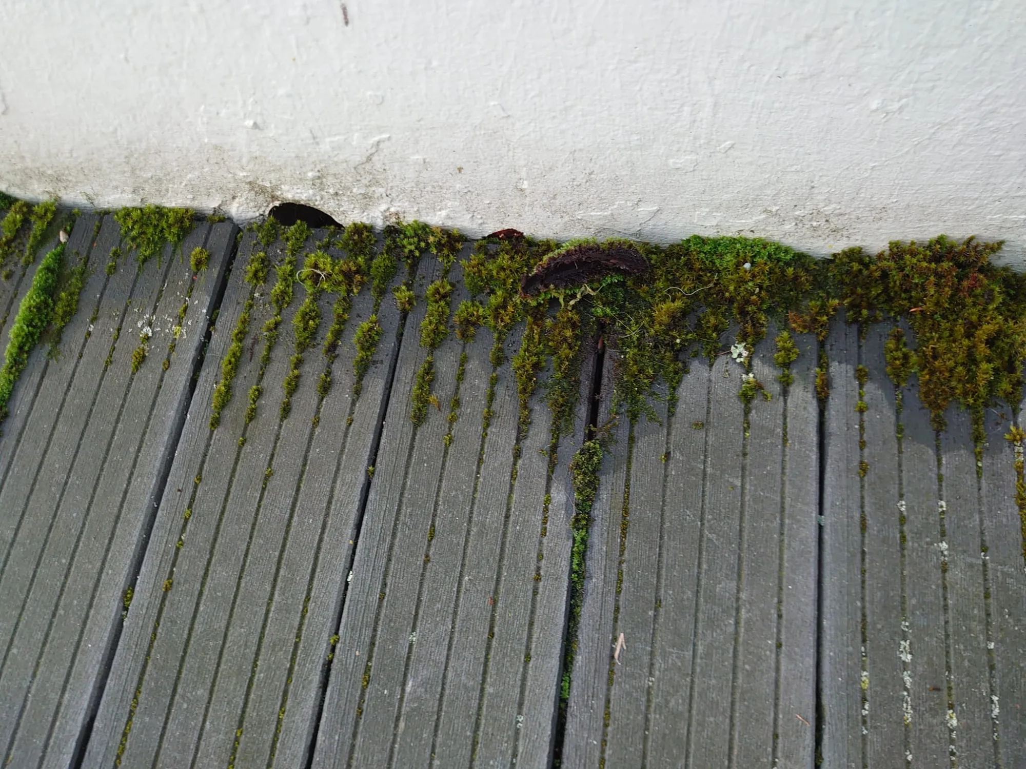Terrassendielen ohne Moos (vorher)